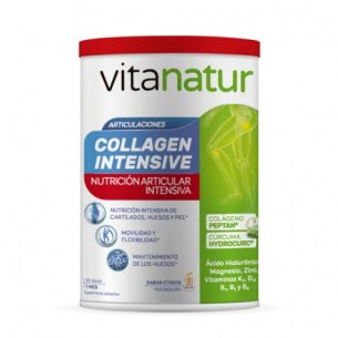 VITANATUR COLLAGEN INTENSIVE  1 BOTE 360 G